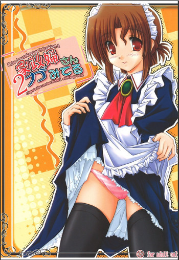 家政婦さんが見てる 2の表紙画像