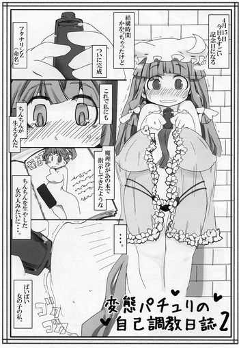 変態パチュリの自己調教日誌2の表紙画像