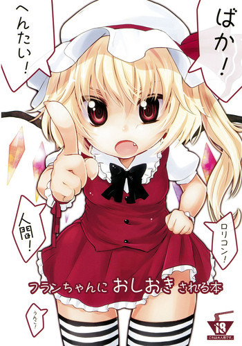 フランちゃんにおしおきされる本の表紙画像