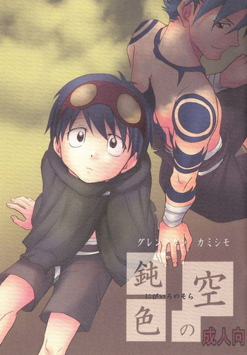 Shamon Tei - Nibirio no Soraの表紙画像