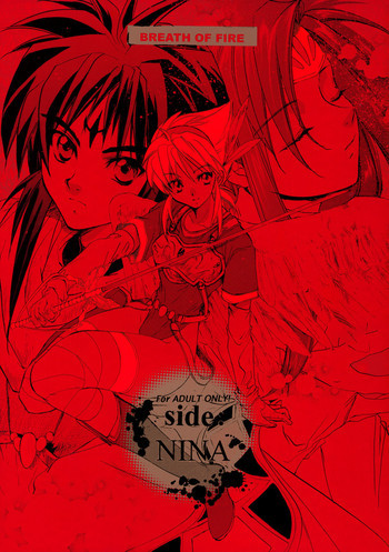side:NINA 竜の眼の風景～secondの表紙画像