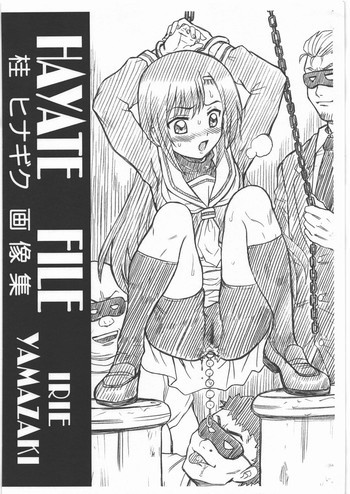 HAYATE FILE 桂ヒナギク画像集の表紙画像