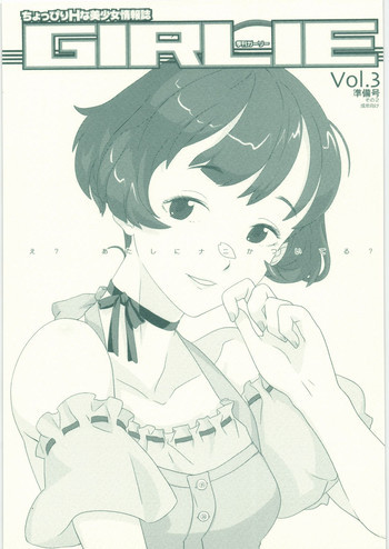 季刊ガーリー Vol.3 準備号 その2の表紙画像