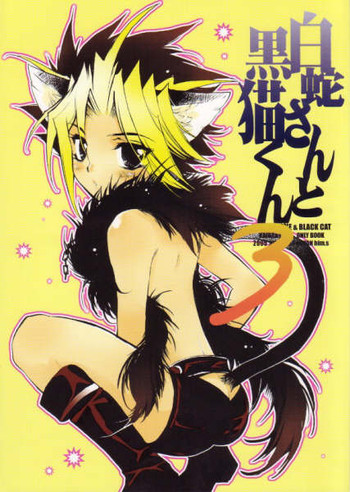 白蛇さんと黒猫くん 3の表紙画像