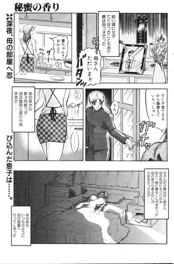 秘蜜の香りの表紙画像