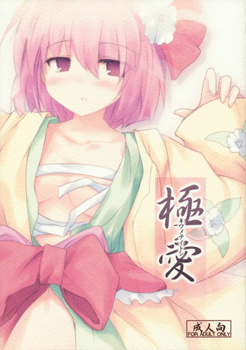 極愛の表紙画像