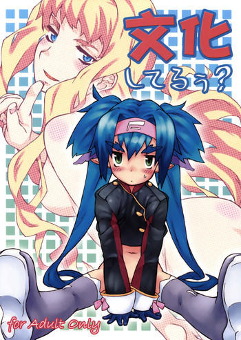 の表紙画像