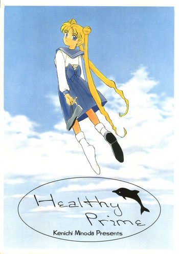 Healthy Prime The Beginningの表紙画像