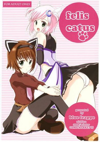 フェィスカツスの表紙画像