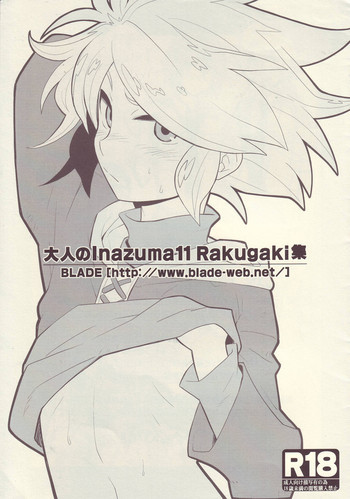 大人のInazuma11 Rakugaki集の表紙画像