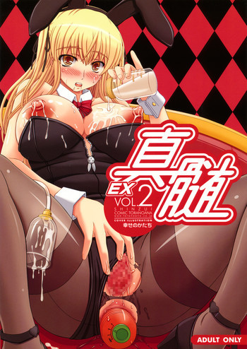 真髄 EX VOL.2の表紙画像