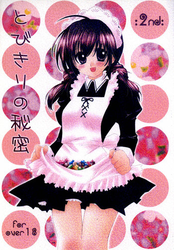 とびきりの秘密2の表紙画像