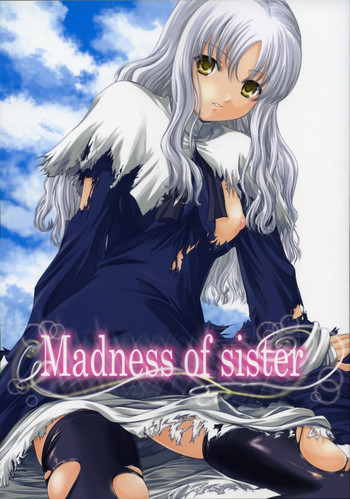 Madness of sisterの表紙画像