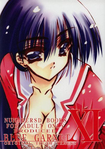 BLUE GARNET ⅩⅠ Duplicateの表紙画像