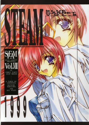 STEAM vol.Ⅷの表紙画像