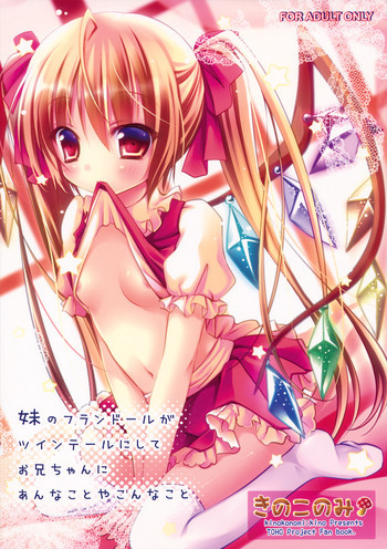 妹のフランドールがツインテールにしてお兄ちゃんにあんなことやこんなことの表紙画像