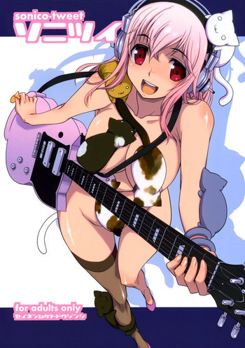 ソニツイの表紙画像