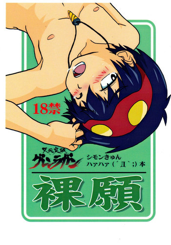 Gurren Lagann Shimo-kyun Haa Haa Hon Hadaka Negaiの表紙画像