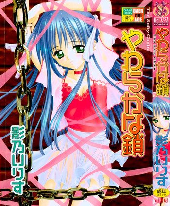 やわらかな鎖の表紙画像