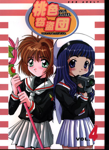 桃色窃盗団 vol.4の表紙画像