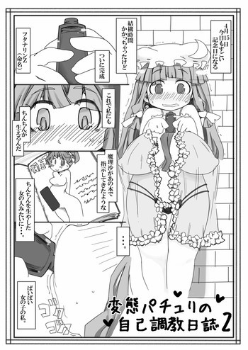 変態パチュリの自己調教日誌2の表紙画像