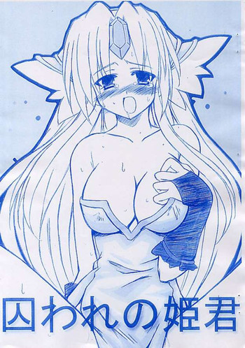 囚われの姫君の表紙画像