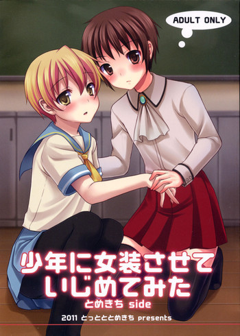 少年に女装させていじめてみたの表紙画像