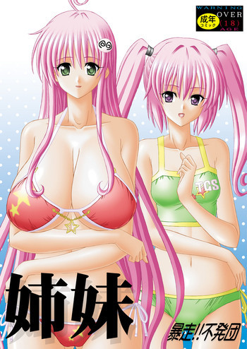 姉妹の表紙画像