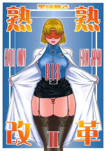 聖域無き熟々改革Ⅱの表紙画像
