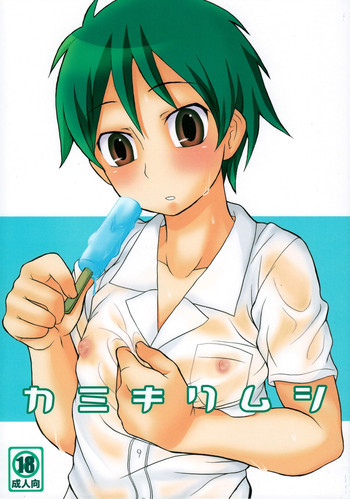 カミキリムシの表紙画像