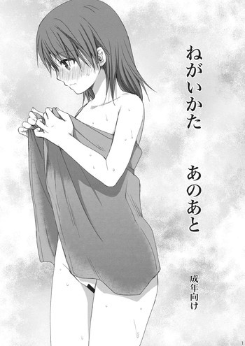 ねがいかた あのあとの表紙画像