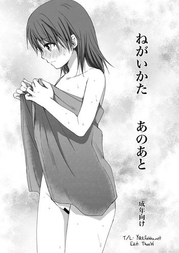 ねがいかた あのあとの表紙画像