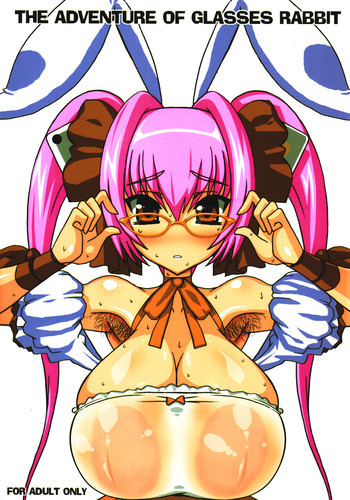 The Adventure of glasses rabbitの表紙画像