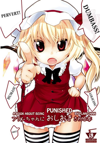フランちゃんにおしおきされる本の表紙画像