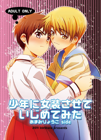 少年に女装させていじめてみたの表紙画像