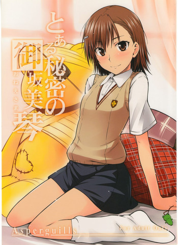 とある秘密の御坂美琴の表紙画像