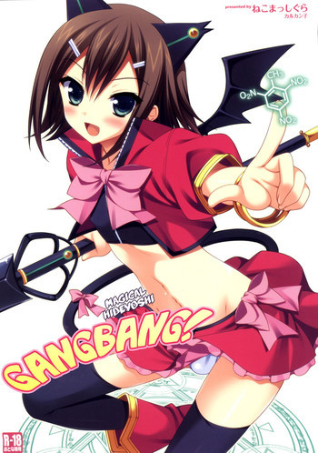 魔法秀吉りんかんっ!の表紙画像