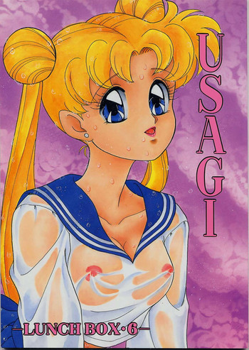 LUNCH BOX 6 - USAGIの表紙画像