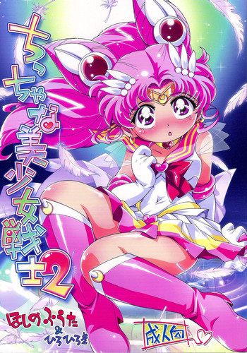ちっちゃな美少女戦士2の表紙画像