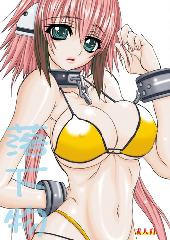 落下物の表紙画像