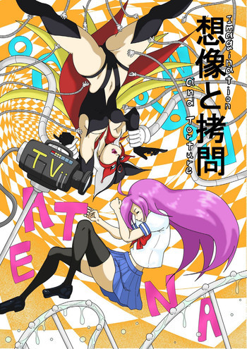 想像と拷問の表紙画像