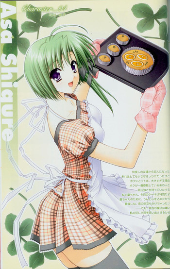 Shuffle! - Fanbook 2の表紙画像