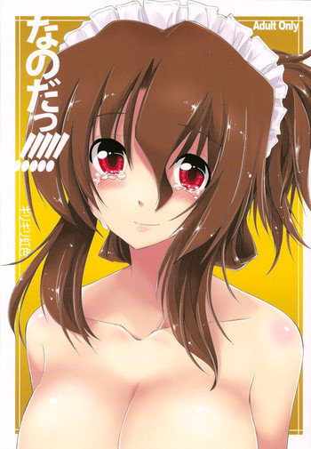 なのだっ!!!!! + おまけ本の表紙画像