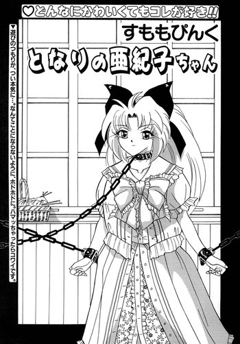 すもも ぴんく作品集.2 [RJ078958] となりの亜紀子ちゃんの表紙画像