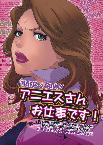 アニエスさんお仕事です！の表紙画像