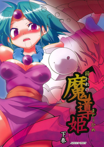 囚われの魔導姫 下巻の表紙画像