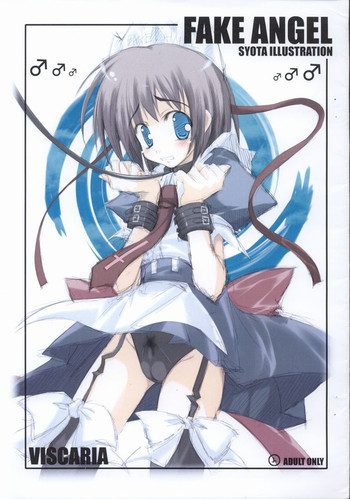 Fake Angelの表紙画像