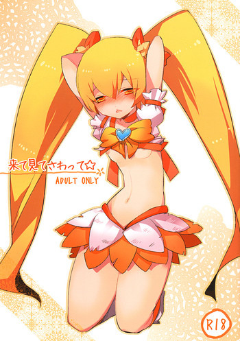 来て見てさわって☆の表紙画像
