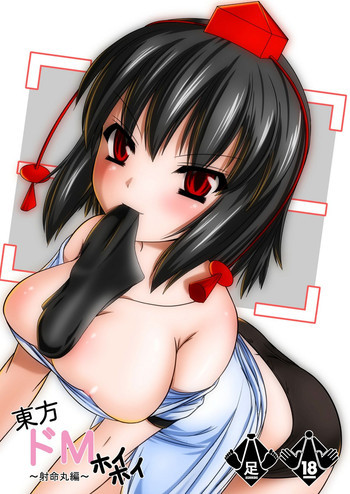 東方ドMホイホイ～射命丸編～の表紙画像