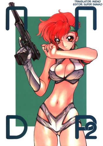 NNDP 2の表紙画像